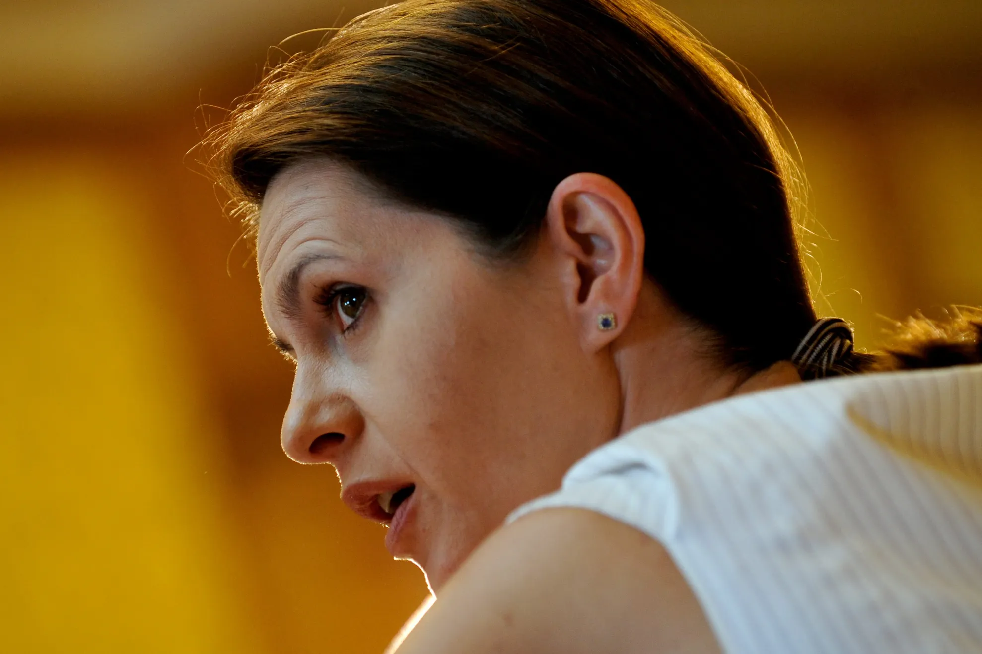 Adriana Săftoiu, candidata PDL pentru un scaun de senator de București