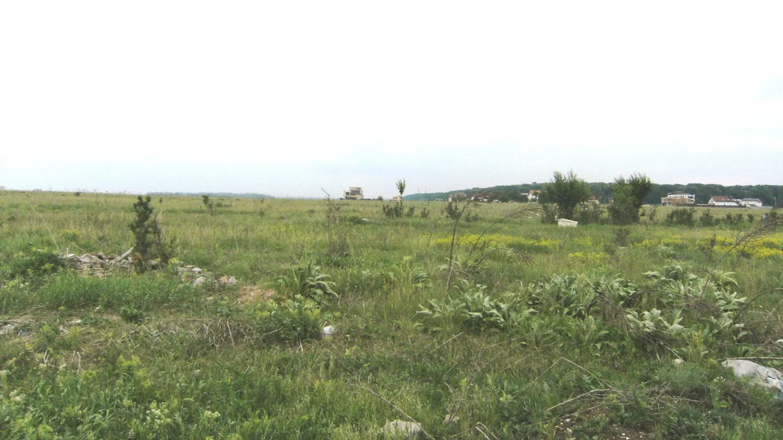 Foto arhivă