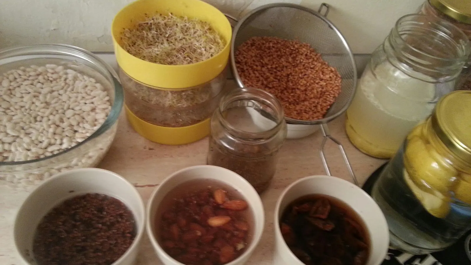 5 motive sa incluzi alimentele germinate in dieta ta