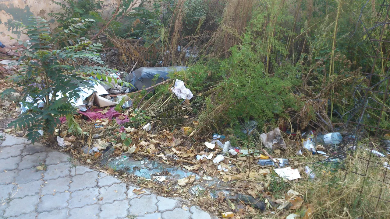 Bani aruncaţi la groapă în Bacău