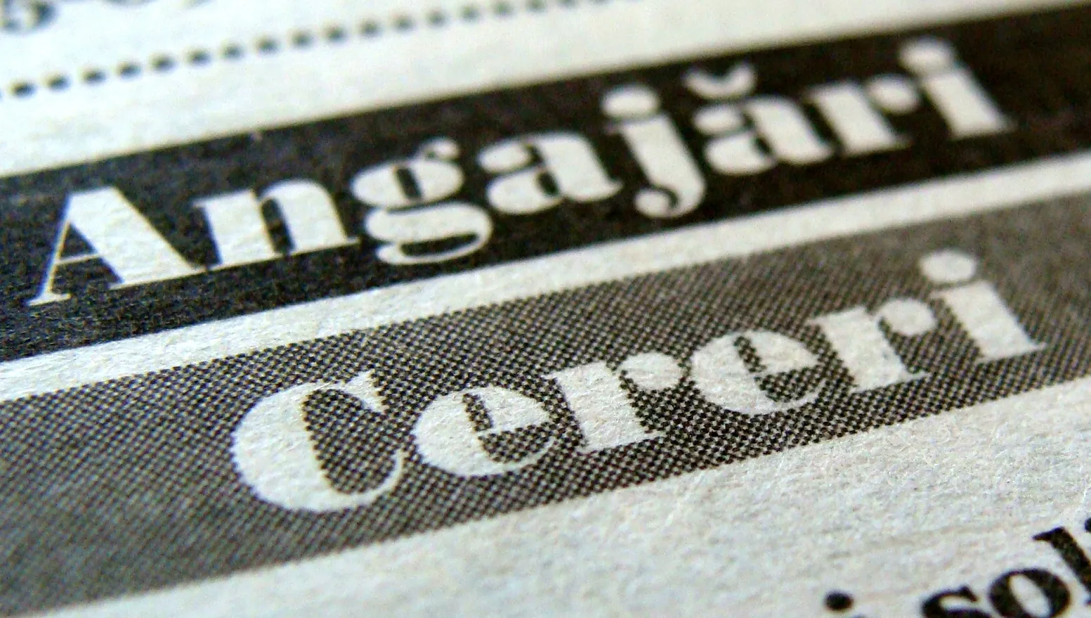Salarii de până la 3.700 euro în străinătate dacă ai studii medii