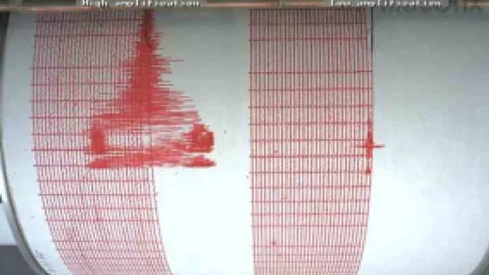 CUTREMUR în noaptea de Revelion, în zona Vrancea