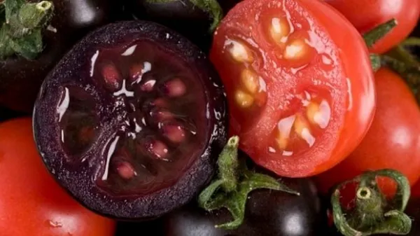Roşiile MOV vor ajunge în curând în supermarket. Ce efecte benefice are leguma MINUNE