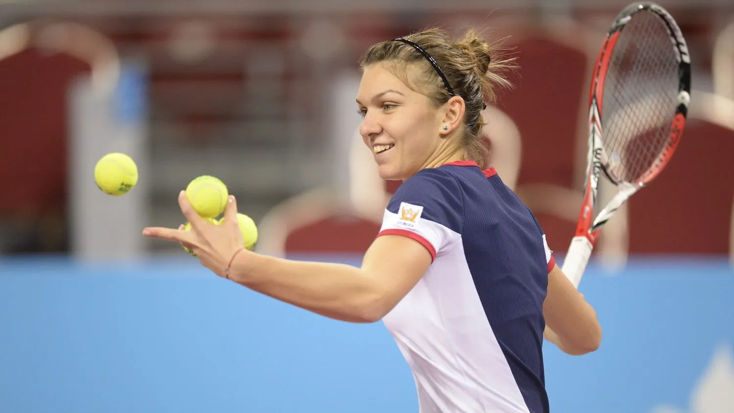 AUSTRALIAN OPEN 2014. Adversari FACILI pentru ROMÂNI în TURUL I