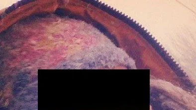 FOTOGRAFIA iernii care circulă pe reţelele de socializare. Un experiment eşuat!