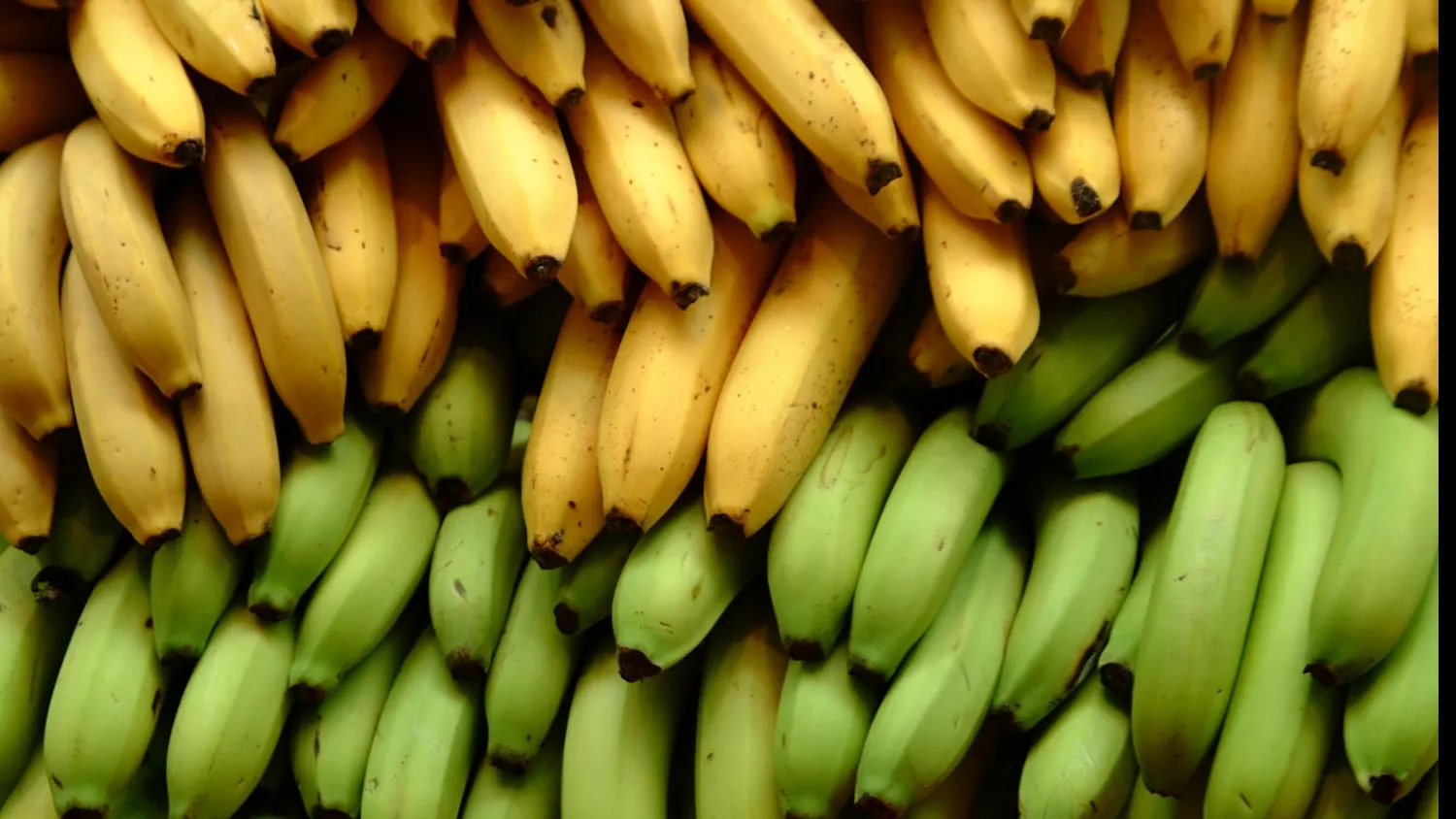 15 utilizări neobișnuite ale bananelor