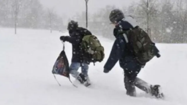 Şcolile şi grădiniţele din Prahova, Călăraşi şi Ialomiţa vor fi închise şi miercuri
