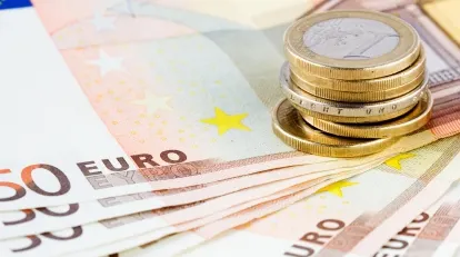 Ce se va întâmpla cu LEUL în 2014. La cât ar putea ajunge moneda EURO