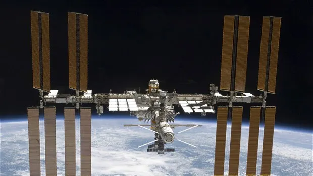 NASA a trimis 800 de furnici în spaţiul cosmic, pentru a le studia comportamentul