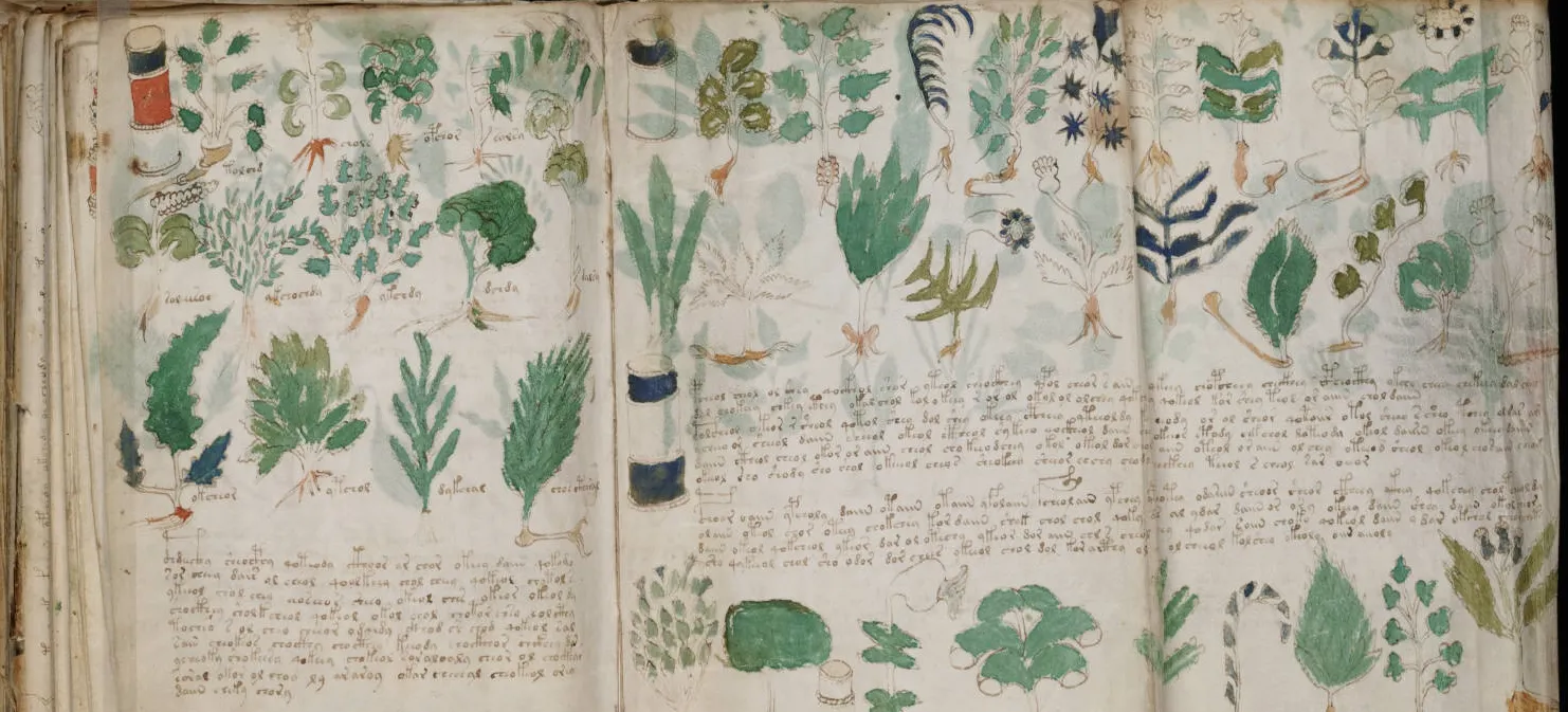 Nimeni nu a DESCIFRAT acest manuscris de 600 de ani. CE SECRET ascund plantele