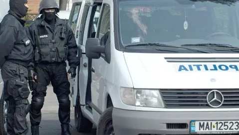 Poliţiştii au descoperit o cultură de cannabis "indoor" la Târgovişte