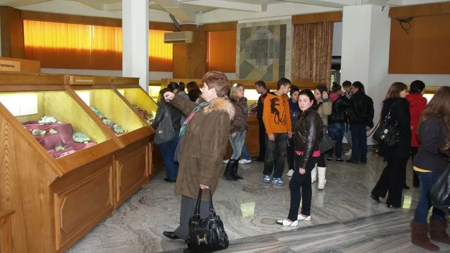 Mineralul furat de la Muzeul de Mineralogie Baia Mare este UNIC ÎN LUME