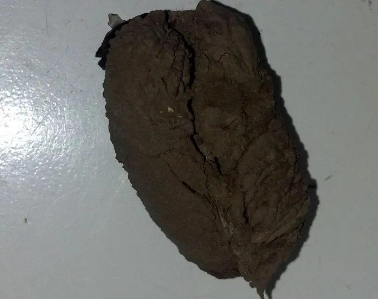 A rămas şocat de ce a descoperit în tavanul de la bucătărie