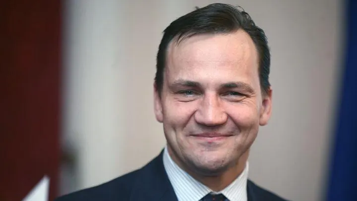 STENOGRAME. Minstrul polonez de Externe acuză incompetenţa lui David Cameron în afaceri europene