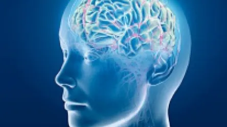 Metoda incredibil de simplă care te poate ajuta să îți îmbunătățești memoria
