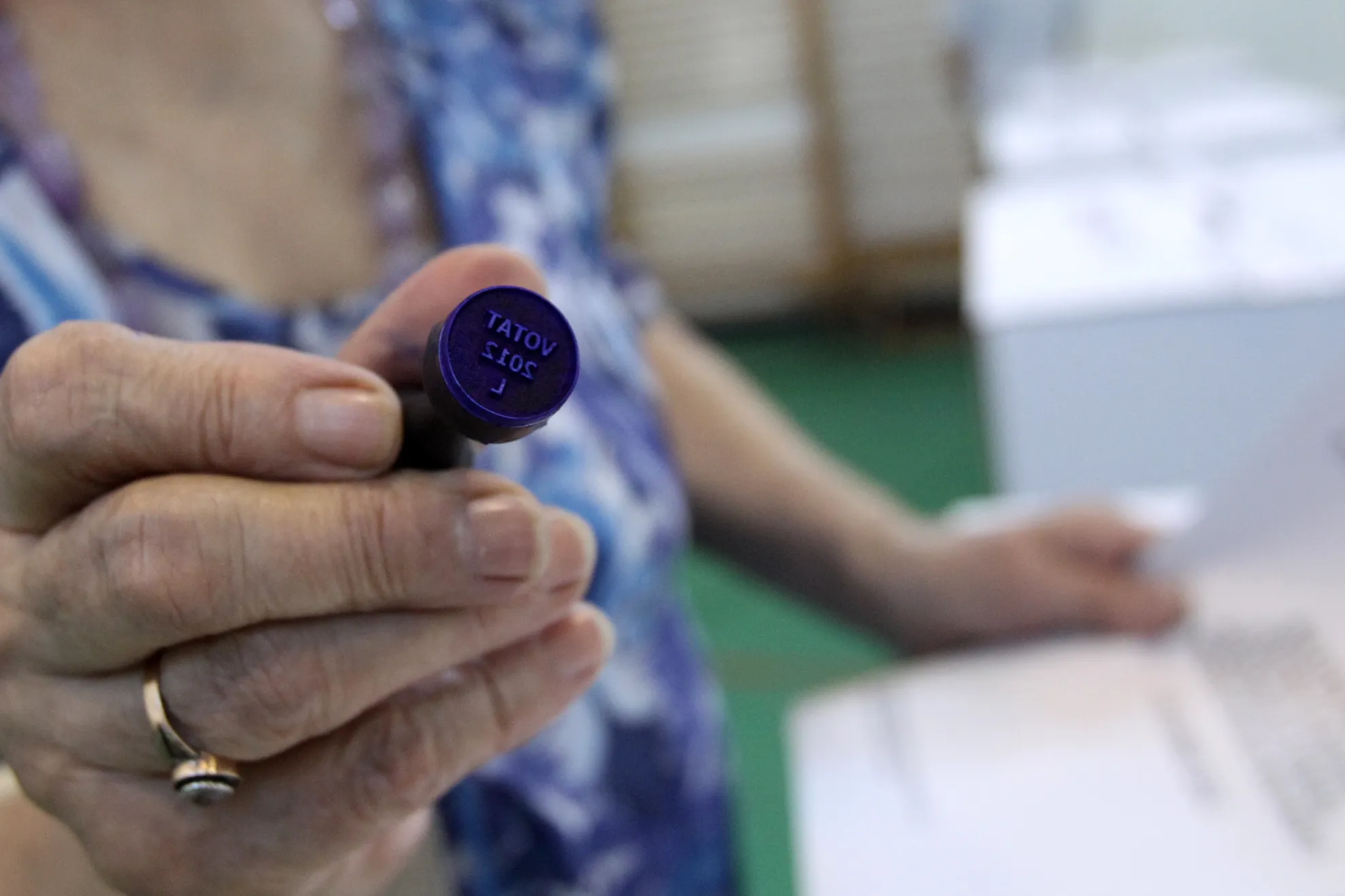 Alegerile pentru posturile vacante de parlamentari sau primari, în 25 mai, la EUROPARLAMENTARE