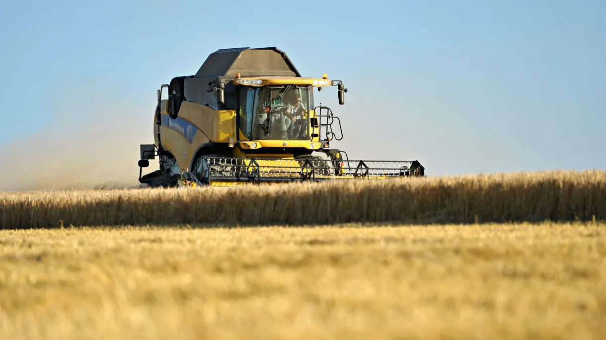 PRIMUL SEMN al crizei alimentare care AMENINŢĂ omenirea