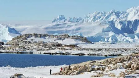 Mușchi din zona antarctică au revenit la viață după 1.500 de ani de hibernare