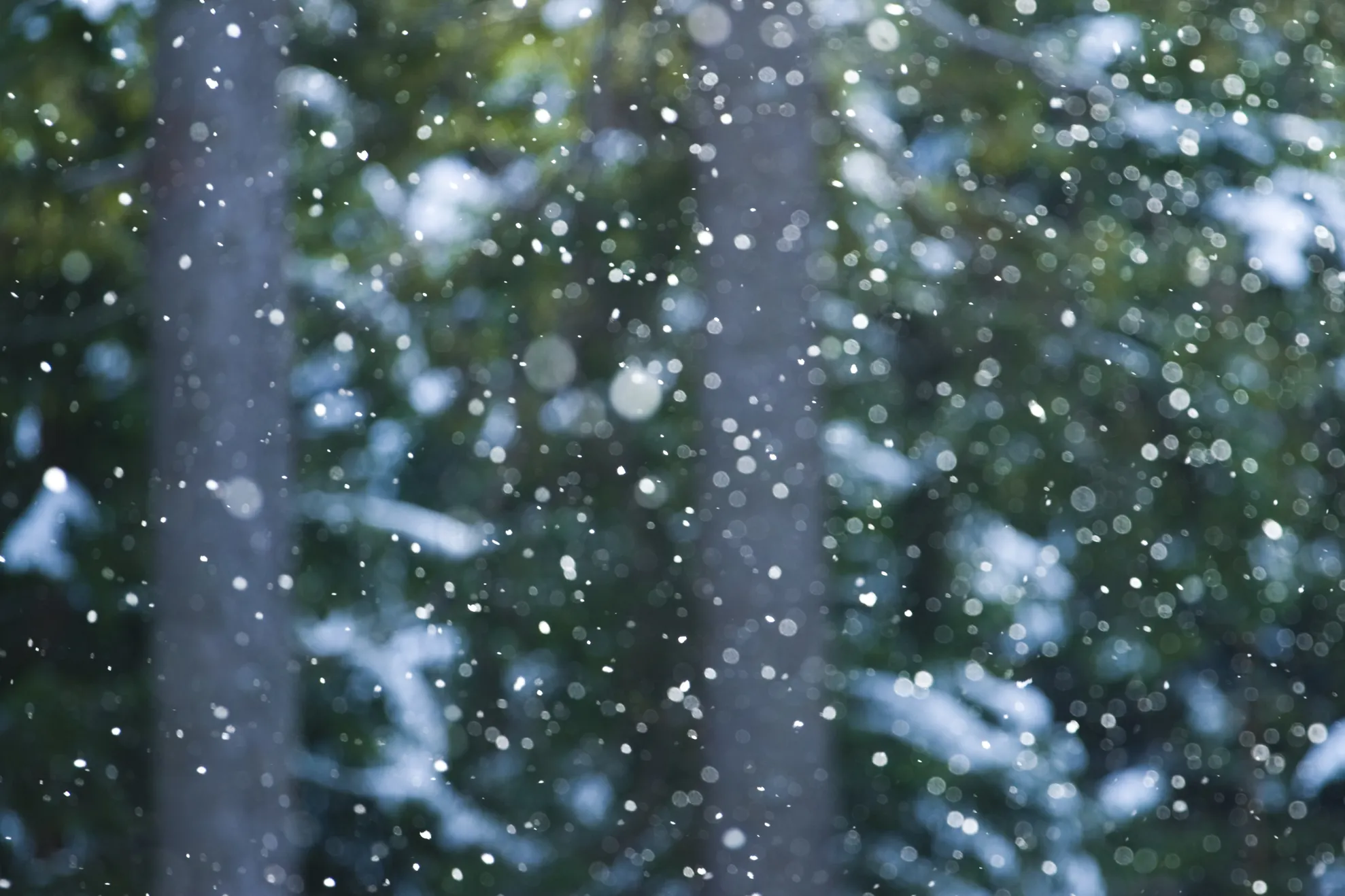 Când vin ninsorile? Prognoza meteo până pe 20 decembrie 