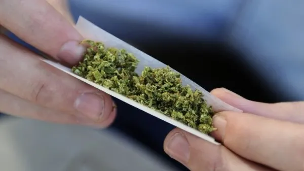 Efectele dezastruoase ale consumului ocazional de canabis 