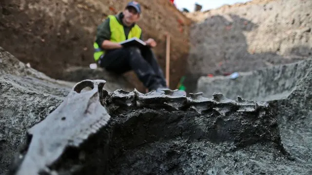 DESCOPERIRE INCREDIBILĂ în Piața Unirii din Timişoara