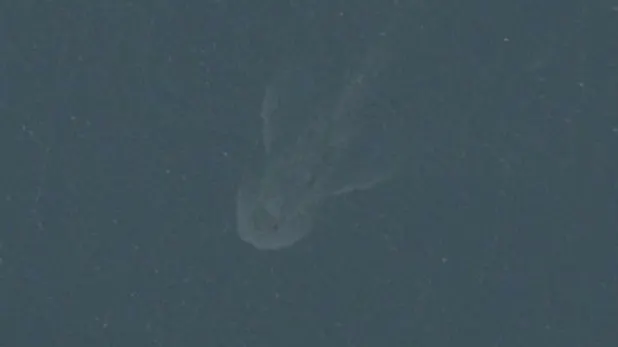 Misterul monstrului din Loch Ness. Imaginea controversată surprinsă de Apple Maps
