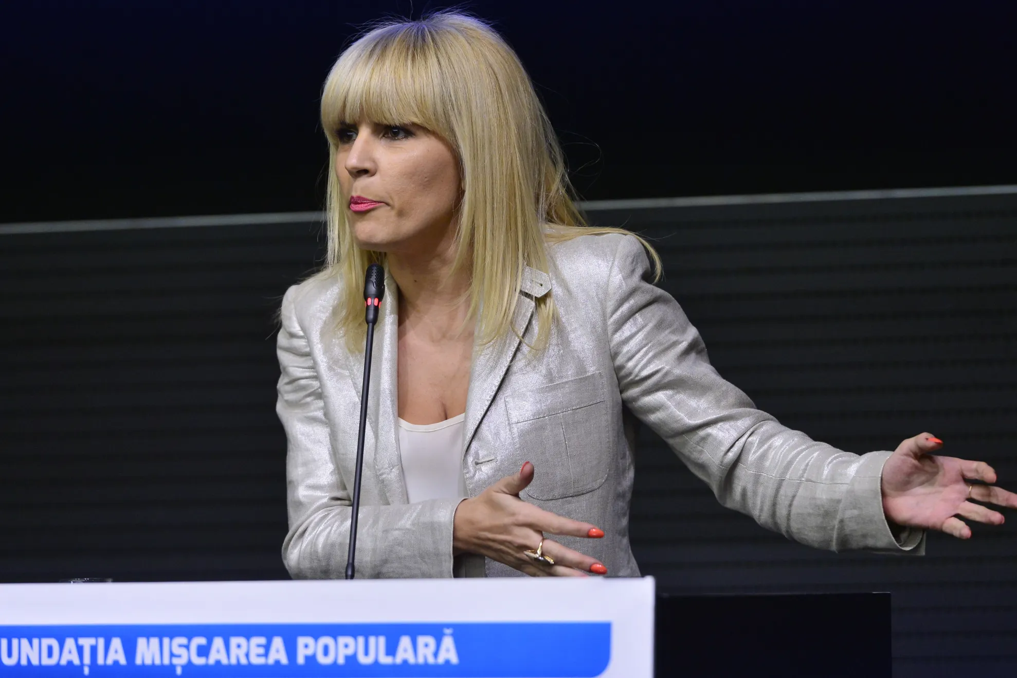 Elena Udrea: Guvernul e pregătit să-şi finanţeze firmele de casă