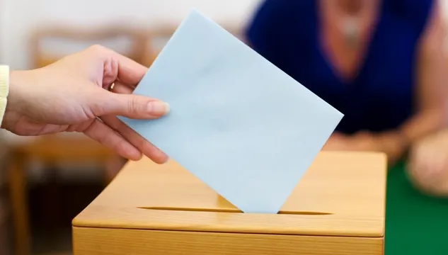 ALEGERILE EUROPARLAMENTARE 2014: Europarlamentarii români sunt aleşi proporţional
