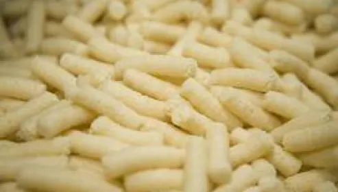 Pufuleţi de plastic şi limonadă cu gust "de familie" - DESCOPERIRI ŞOC la controalele ANPC