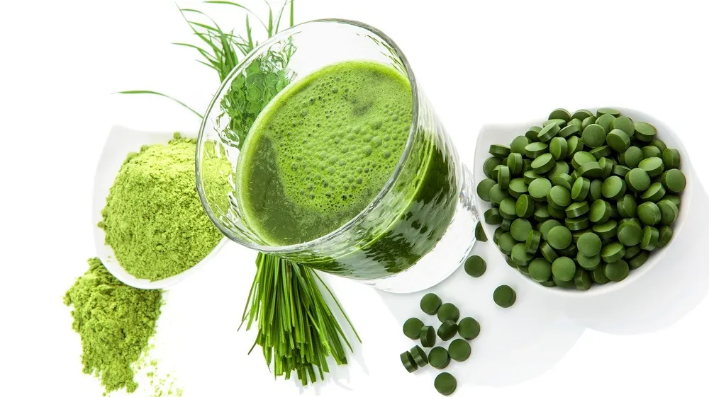 FRESH-REFRESH. Pulbere de iarbă de grâu
