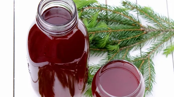 REŢETA ZILEI: Sirop din muguri de brad