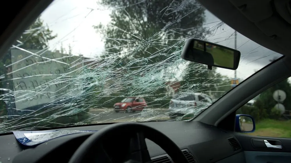 Șase oameni au murit în Germania din cauza furtunilor
