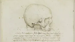 Misterul "craniului lui Leonardo da Vinci". Teoria care a stârnit controverse printre cercetători