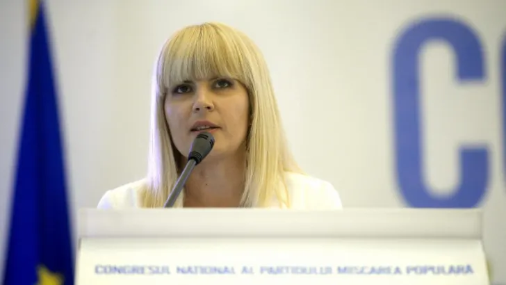 Udrea: Ne dorim să susţinem un singur candidat al dreptei;Diaconescu-mai bun decât Predoiu, Iohannis