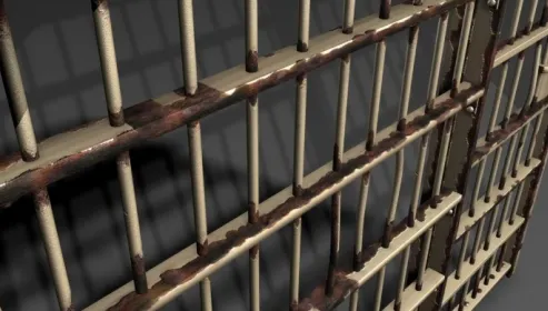CULMEA ERORII JUDICIARE: ELIBERAT şi declarat nevinovat după 17 ani de închisoare pentru OMOR