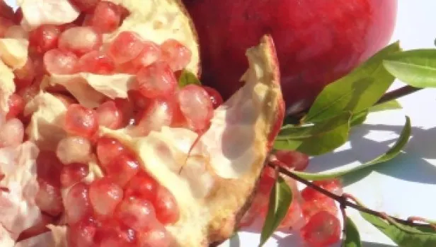 MEDICINA NATURII. ALIMENTELE-MEDICAMENT cu efecte deosebit de puternice pentru sănătate