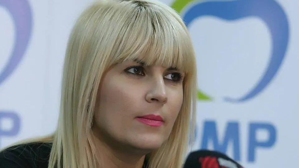 Udrea: PMP va face marți o plângere penală împotriva ADS