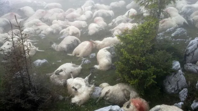 Evenimente neobişnuite în Retezat. Turiştii şi localnicii sunt ÎNGROZIŢI. Ce se întâmplă?
