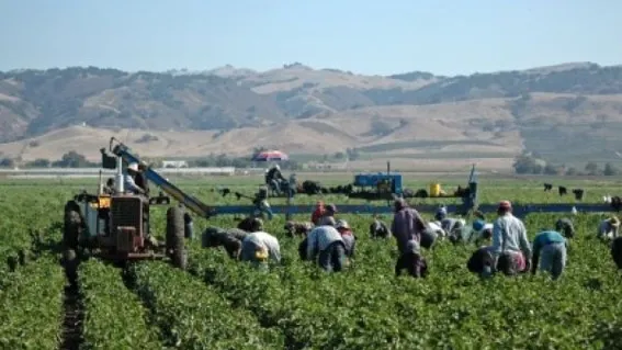 Lumea de coşmar a românilor din Sicilia. Româncele au făcut 762 avorturi într-un an