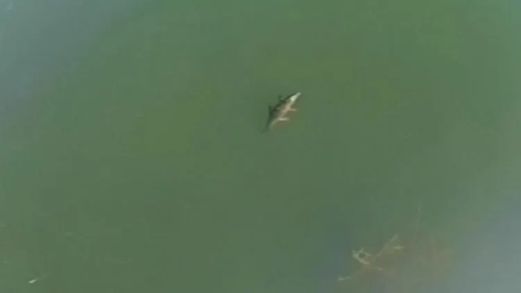 DESCOPERIRE incredibilă într-un lac din Grecia