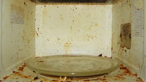 Lucruri pe care să NU LE PUI NICIODATĂ în CUPTORUL CU MICROUNDE. Pot exploda!