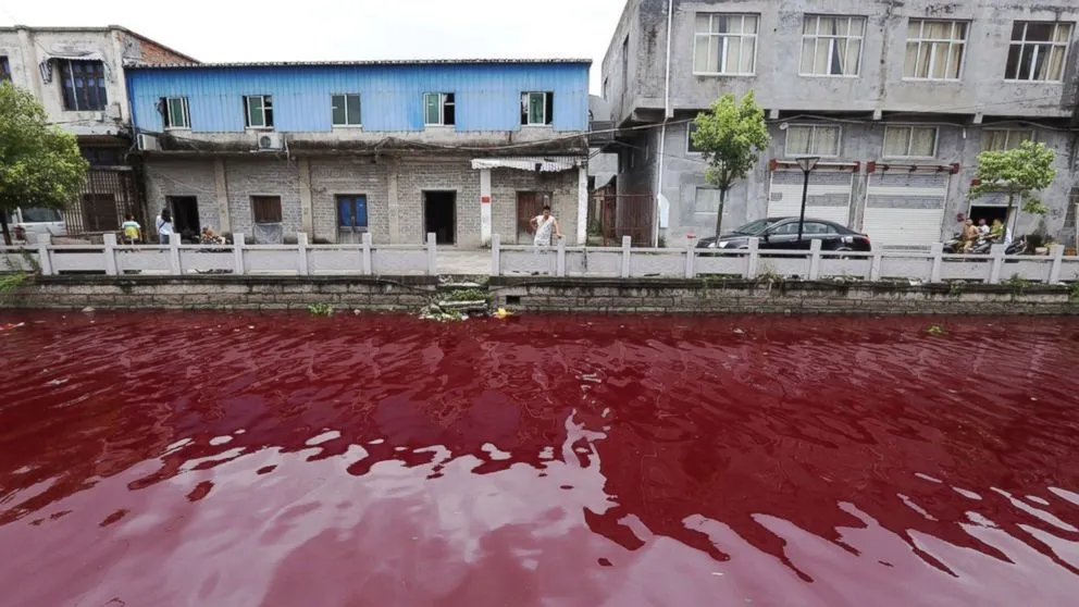 ÎNFIORĂTOR. "Apa râului s-a ÎNROŞIT într-o oră. Dimineaţă PESCUIAM"