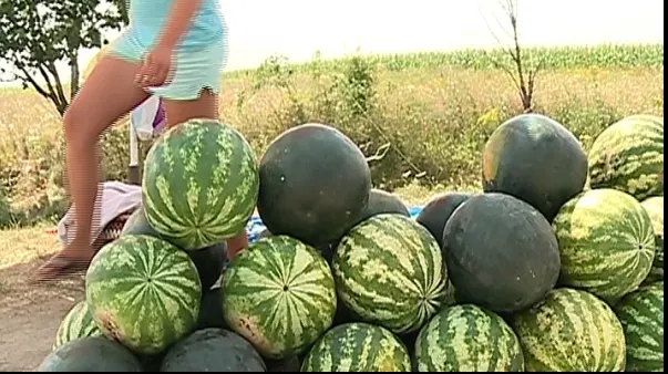 Veste bună: Comercianții de pepeni sunt obligaţi să pună acest AFIŞ lângă marfă
