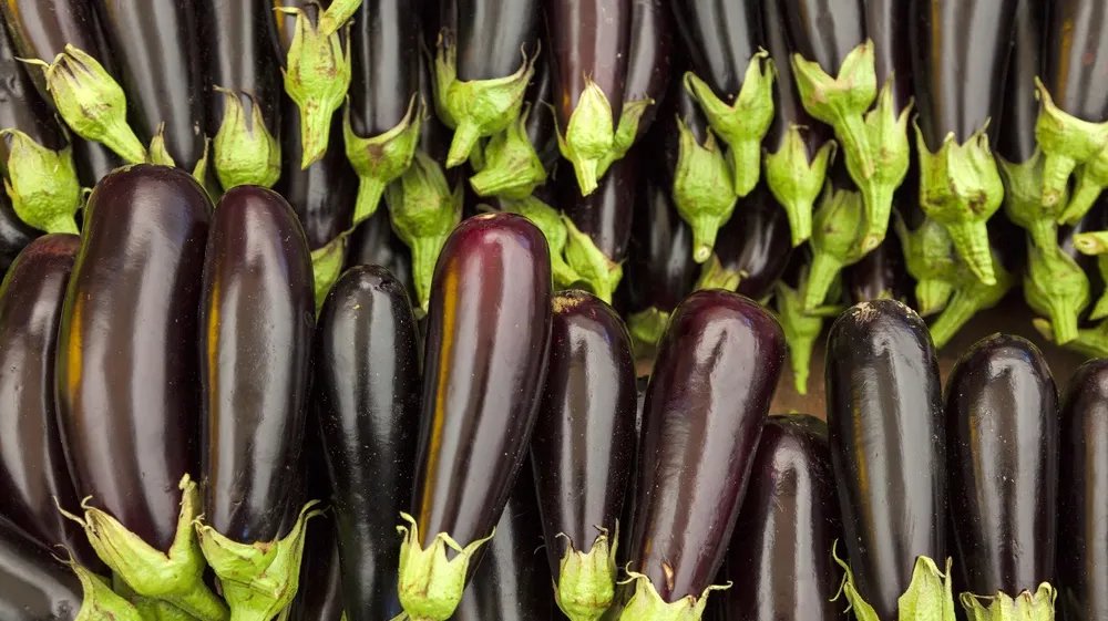 FRESH-REFRESH. Vinetele, alimentul potrivit pentru zilele caniculare