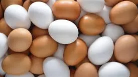 Ce diferenţă este între ouăle albe şi cele maronii? Explicaţia specialiştilor