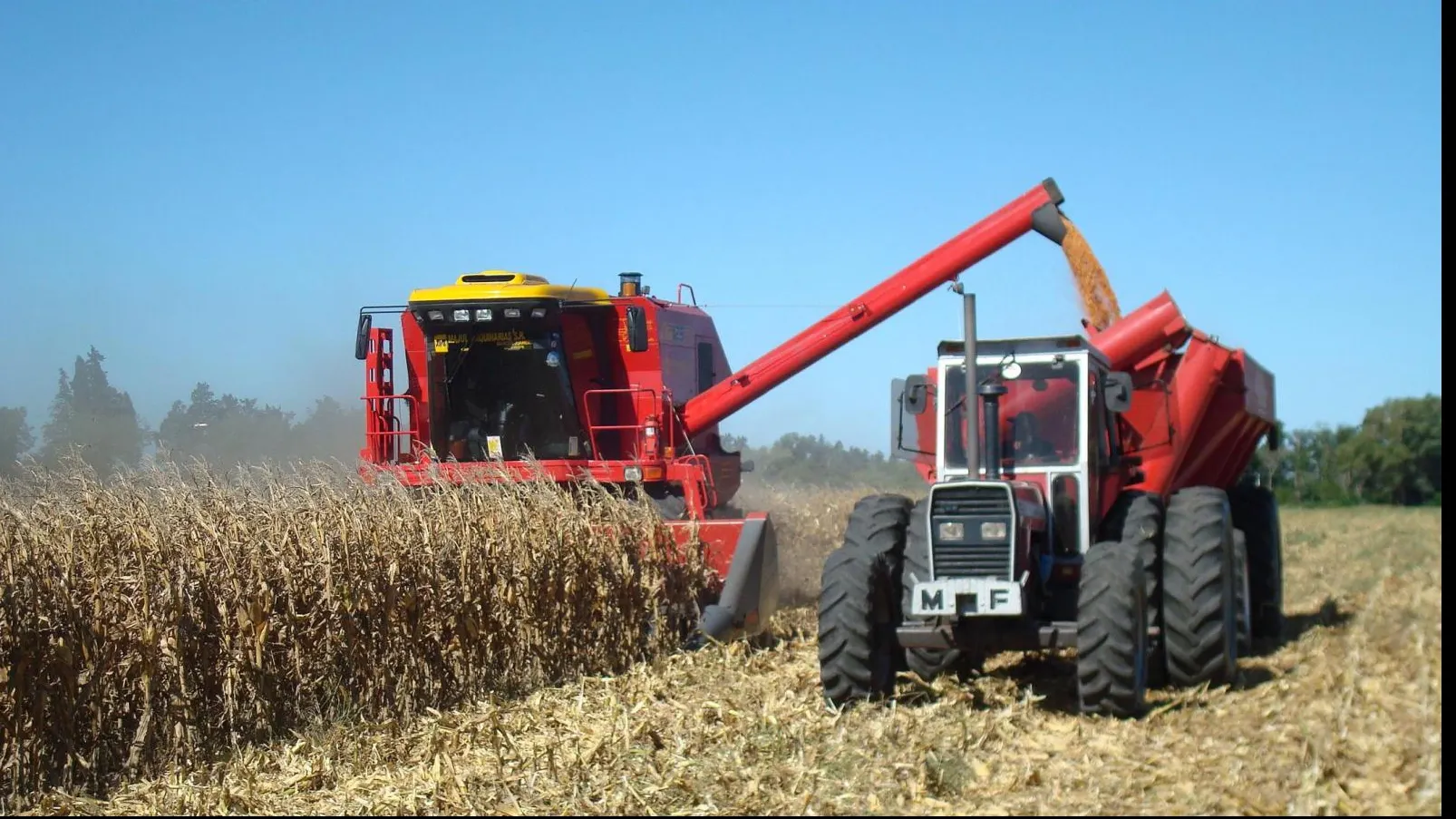 SURPRIZĂ de coșmar pentru agricultori. Numai asta le lipsea