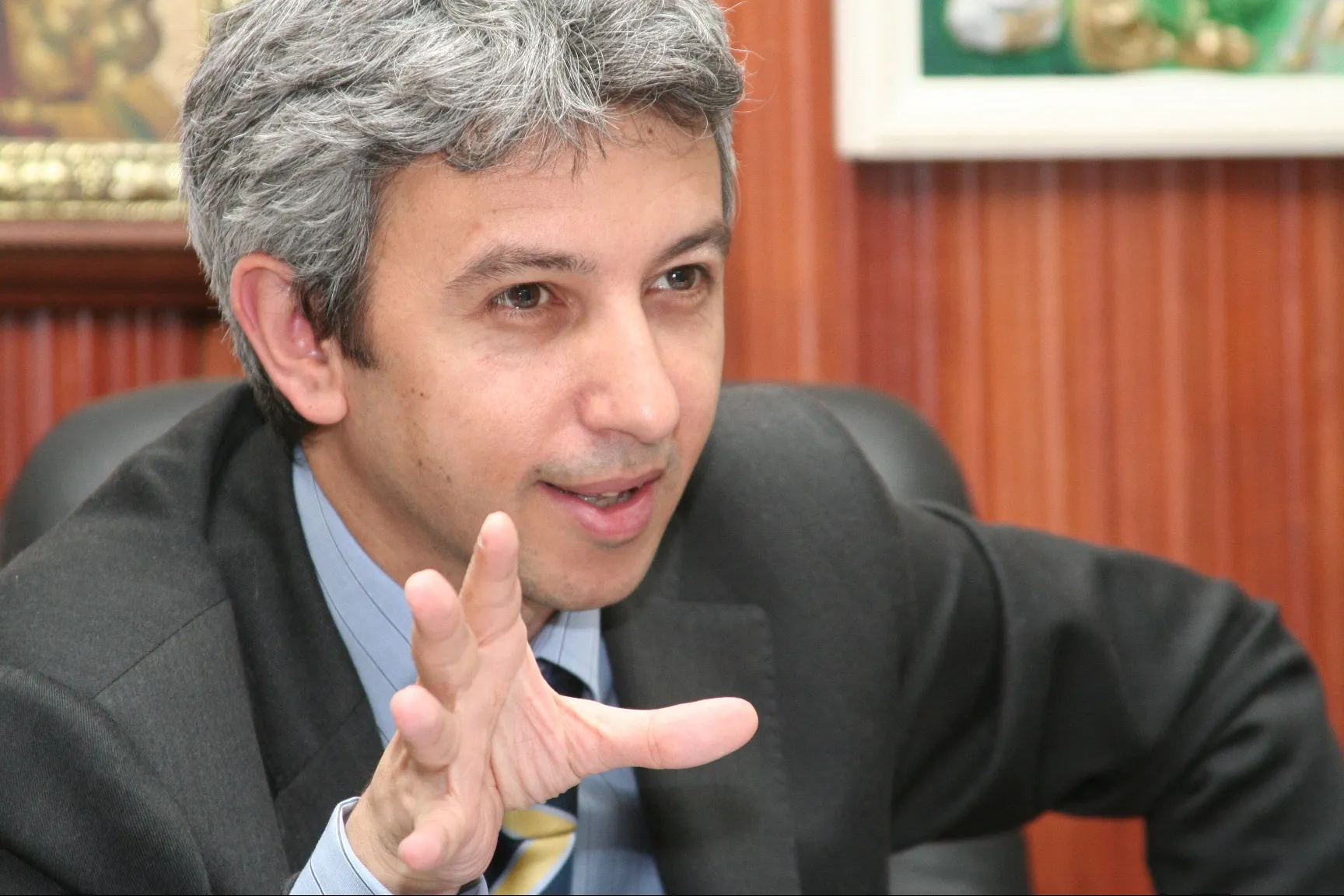 Dan Diaconescu, candidat oficial din partea PPDD la alegerile prezidenţiale