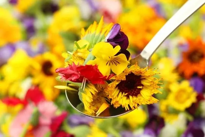 A apărut cartea de bucate care arată cum poți transforma florile în delicii culinare