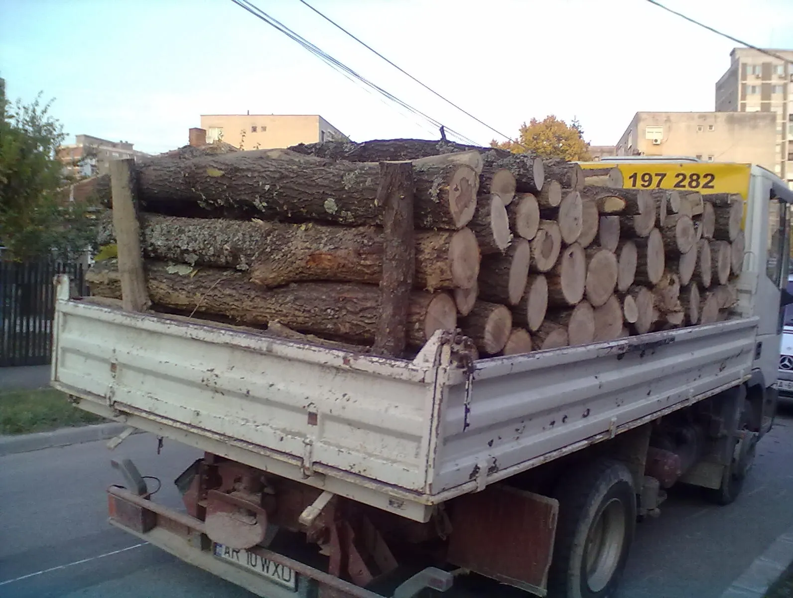 Peste 2,5 tone de lemn de foc, transportate fără documente de provenienţă, au fost confiscate