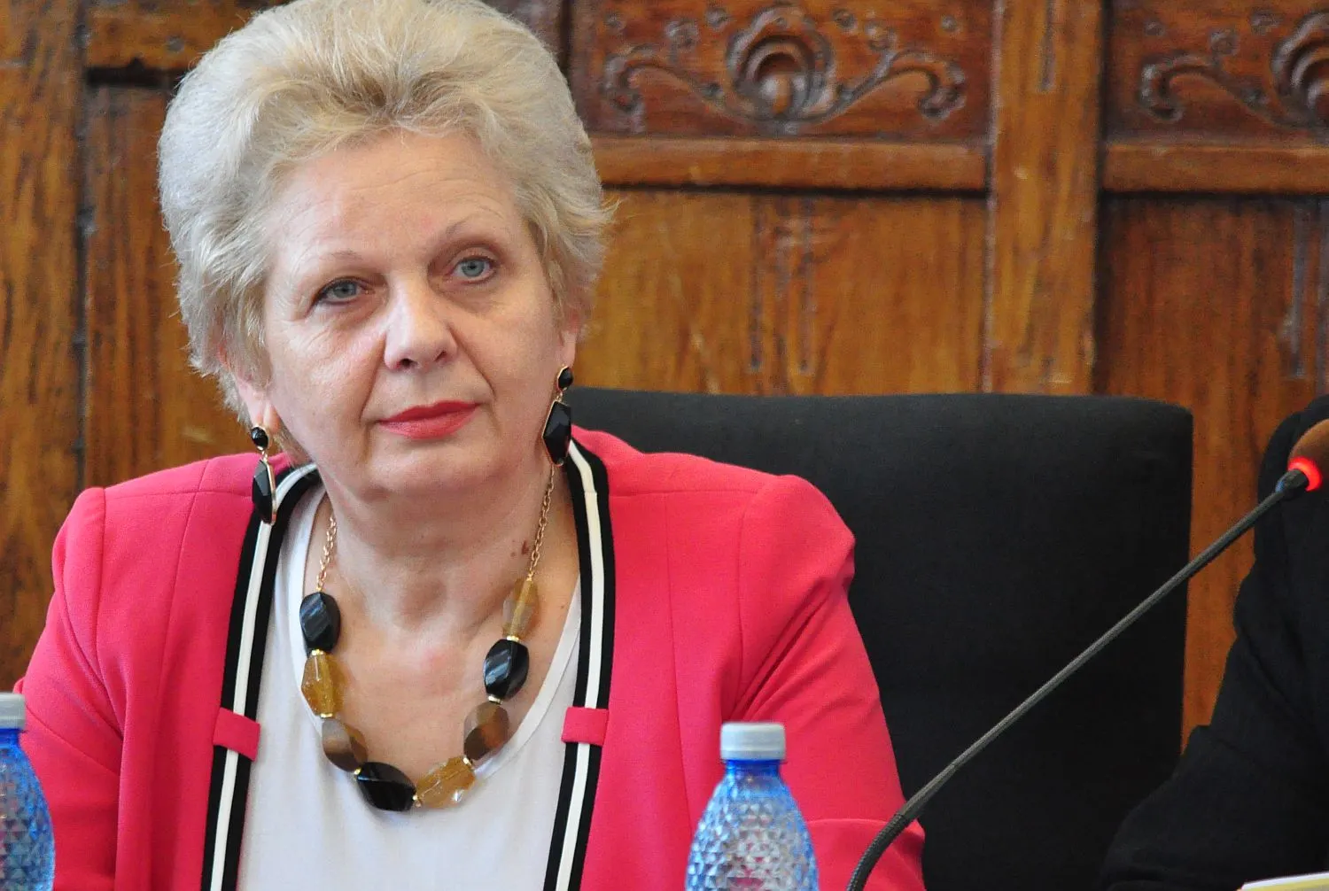 Pană, despre sistemul informatic de monitorizare a lemnului: Nu am cum să-l declar infailibil